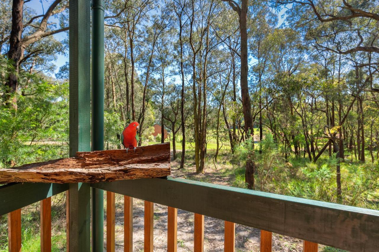 鹦鹉别墅住宿加早餐旅馆 Cockatoo 外观 照片
